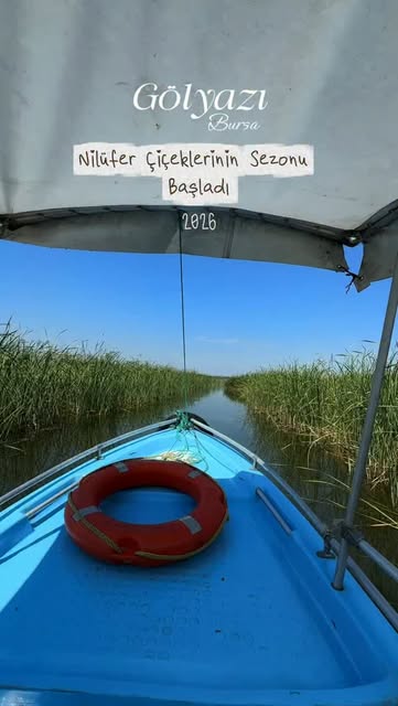 Gölyazı · Uluabat