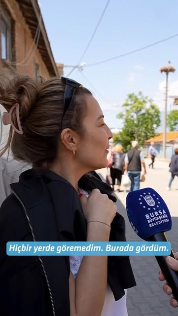 Gölyazı · Uluabat