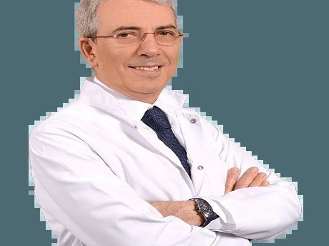 Prof. Dr. A. BÜLENT OKTAY