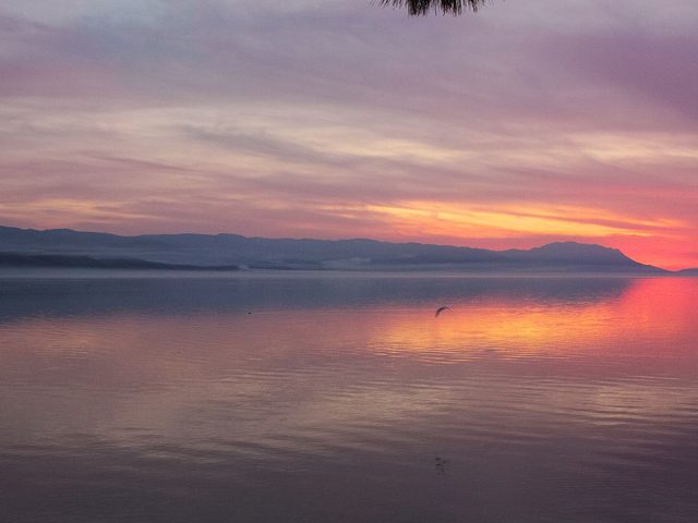 İznik Gölü Kamp