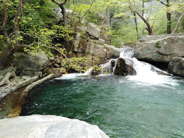 Kazdağı Kamp · Zeytinli