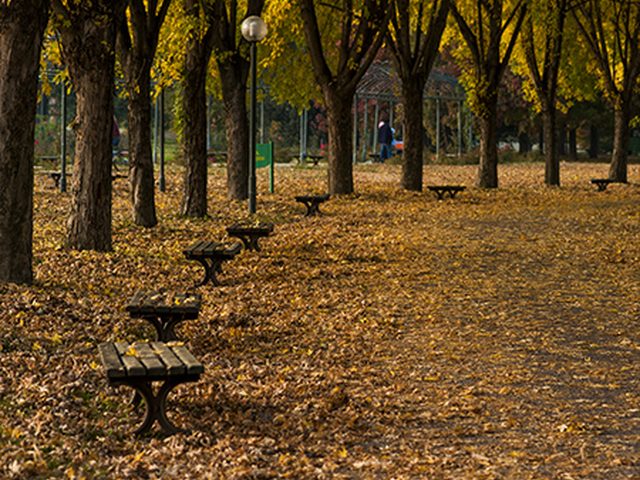 Karagöz Çocuk Parkı