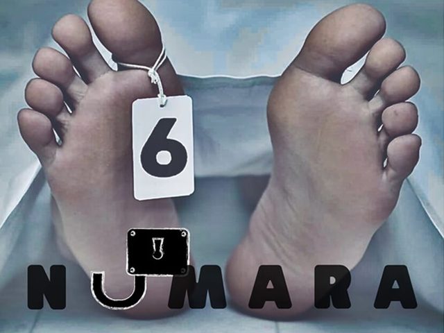 6 Numara