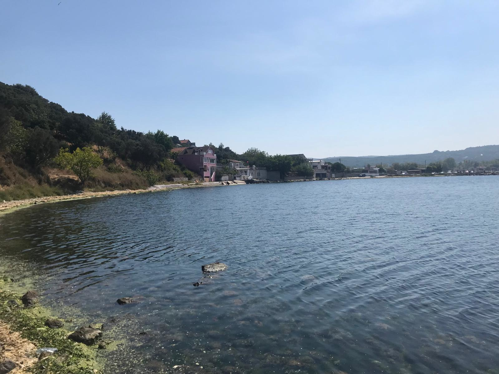 Eşkel / Esence Kıyı Kampı