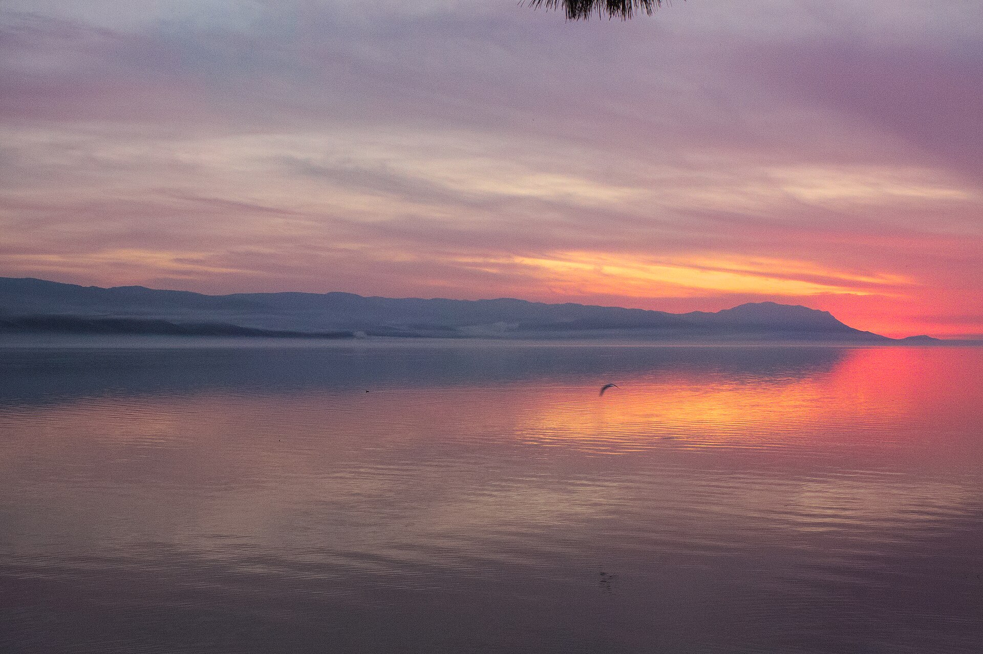 İznik Gölü Kamp
