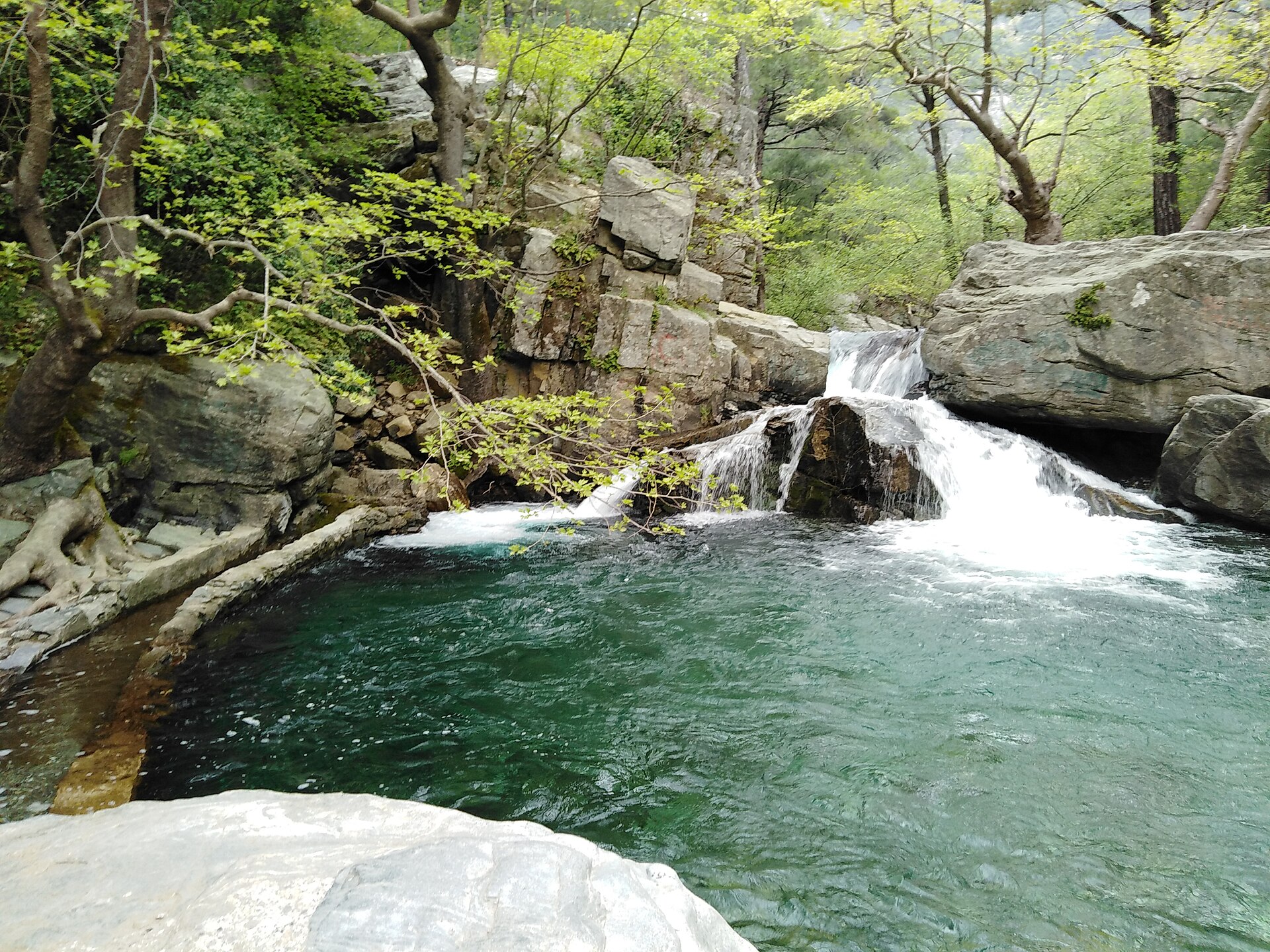 Kazdağı Kamp · Zeytinli