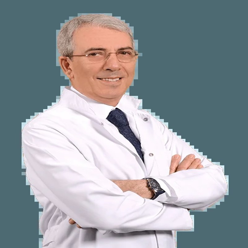 Prof. Dr. A. BÜLENT OKTAY