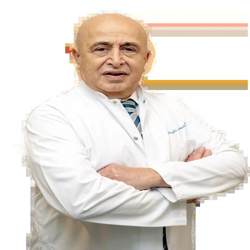 Prof. Dr. ABDULLAH ZORLUOĞLU