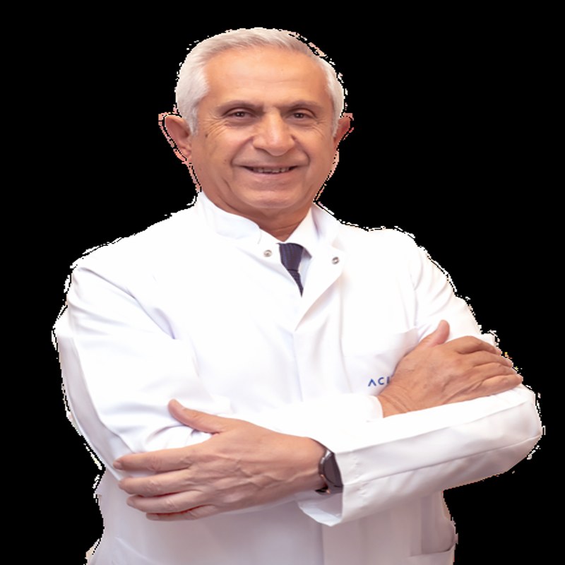 Prof. Dr. MEHMET KARADAĞ