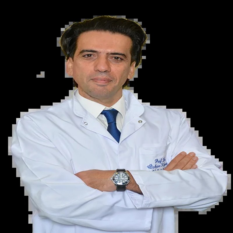 Prof. Dr. ÖZKAN KANAT