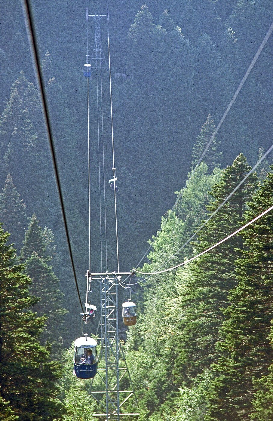 Soğanlı Botanik Parkı