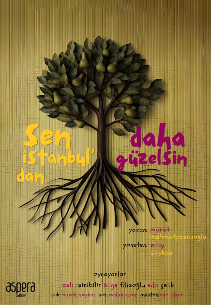 Sen İstanbul'dan Daha Güzelsin görseli