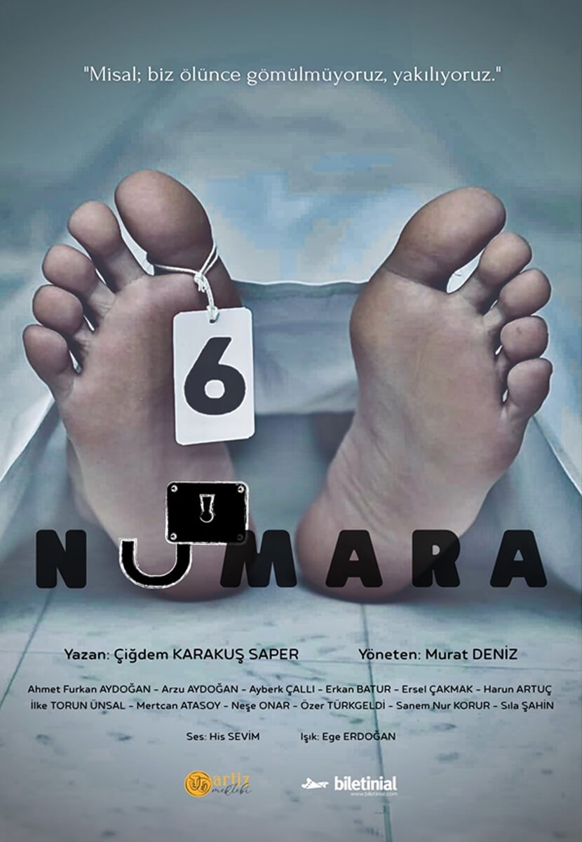 6 Numara